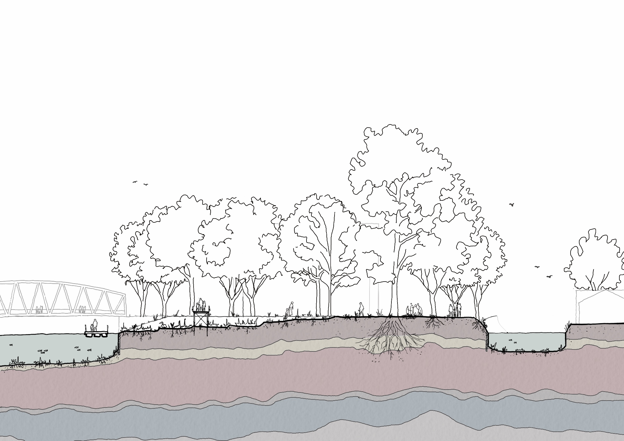 Proposed landscape section with extensive tree planting and ecological remediation